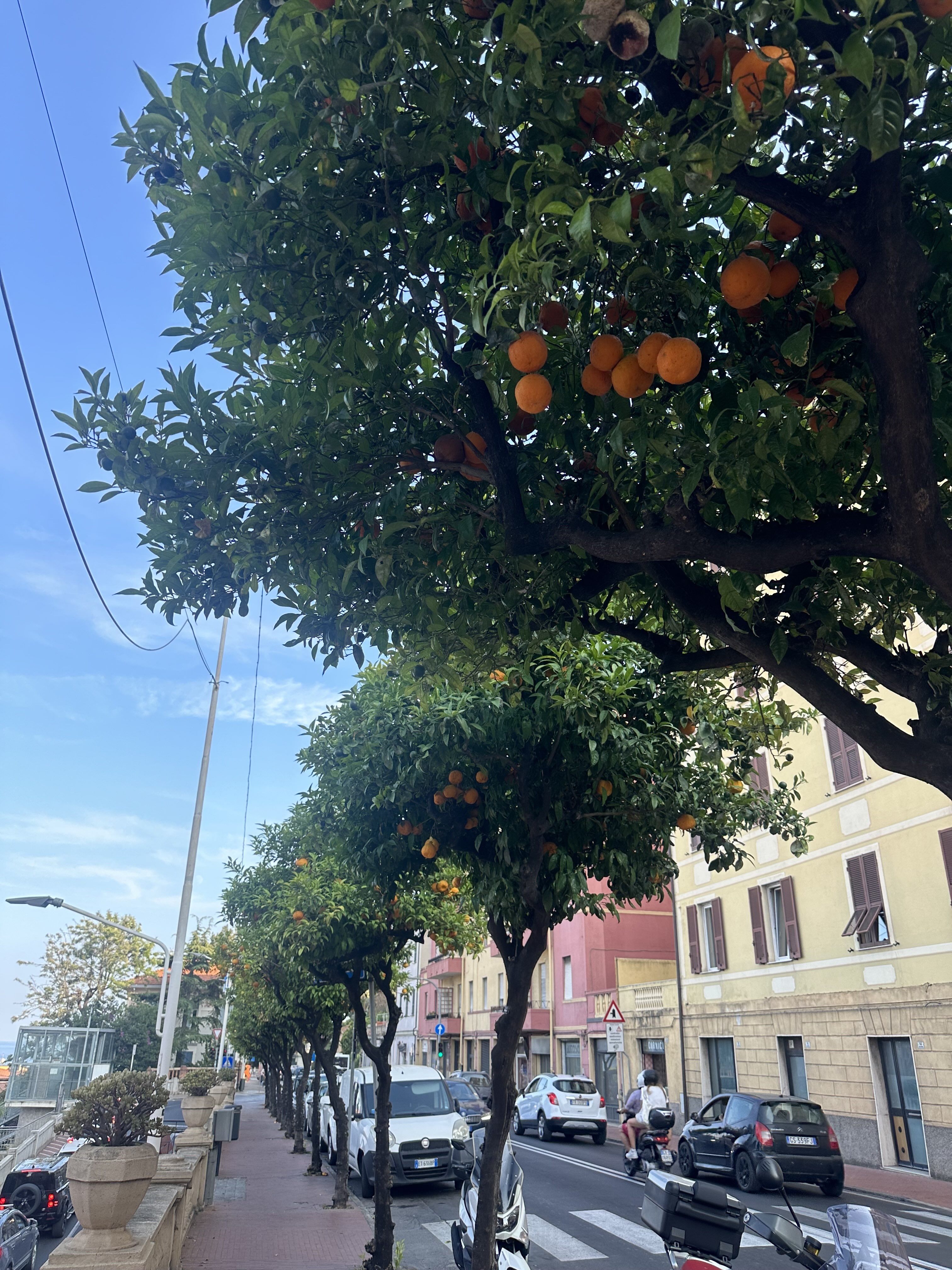 IMG_4020 copy